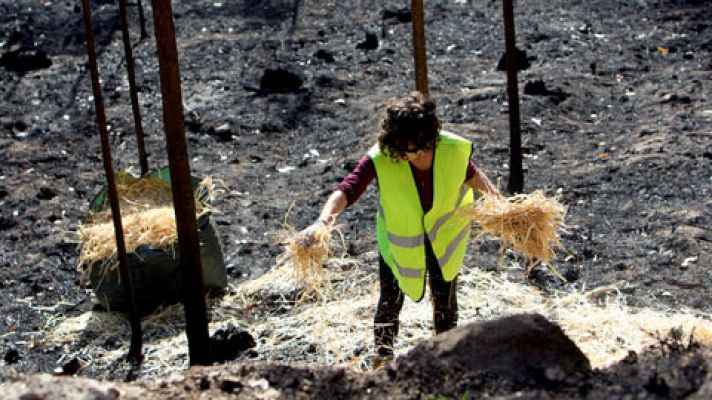 Tras los incendios de Galicia llega el momento de proteger la tierra y los acuíferos