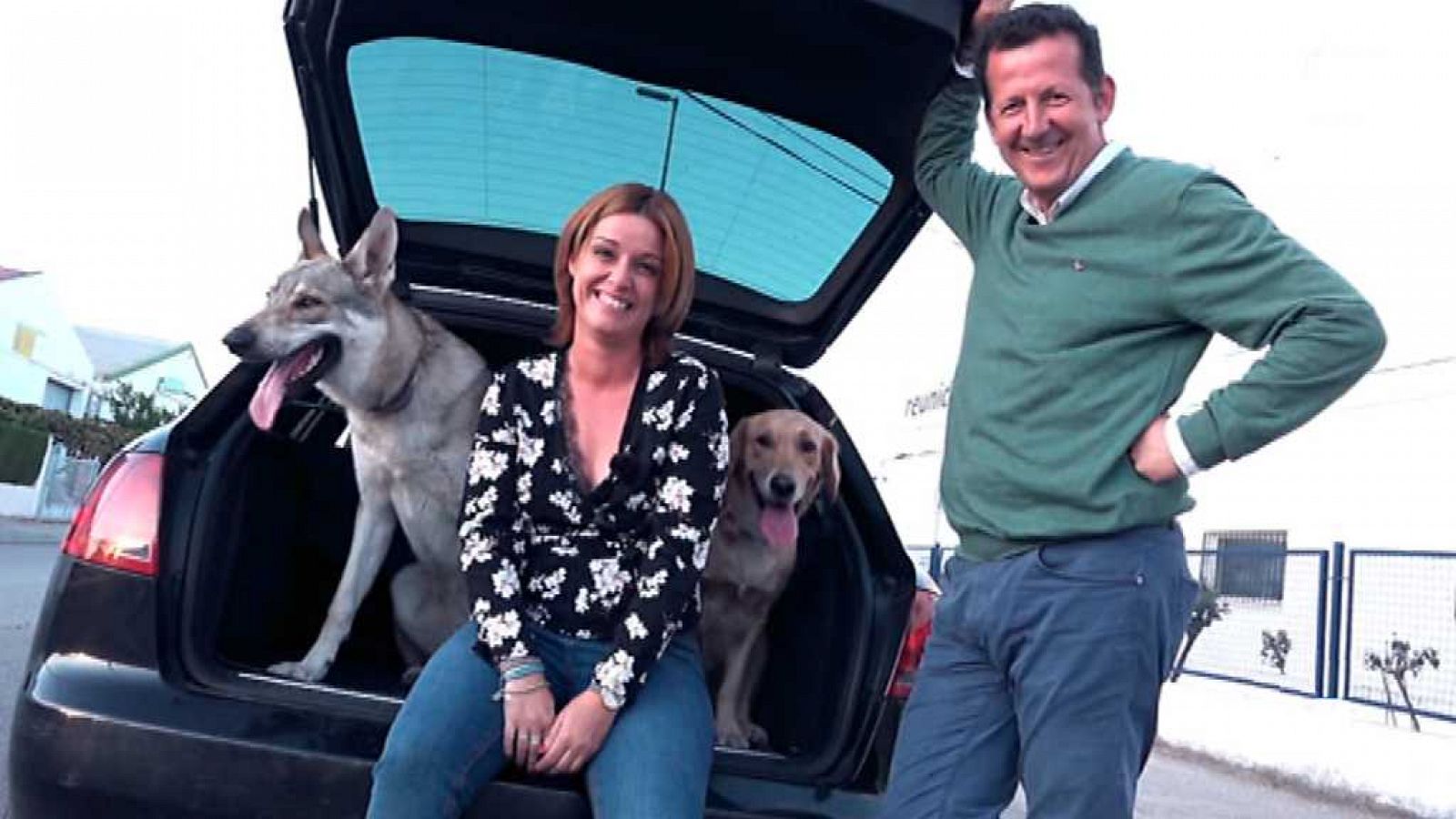 Seguridad Vital - 29/10/17 - ver ahora