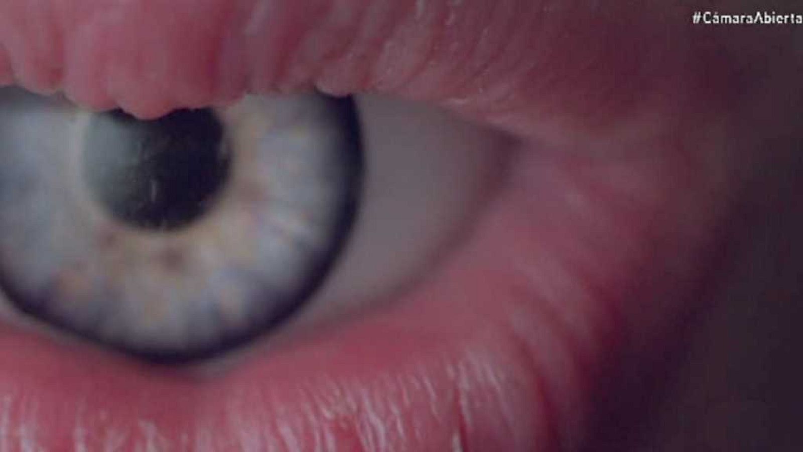 Cámara abierta 2.0 - Bumper ads (Youtube), Street Portrait 360 España, desplazados de Chad...  - ver ahora