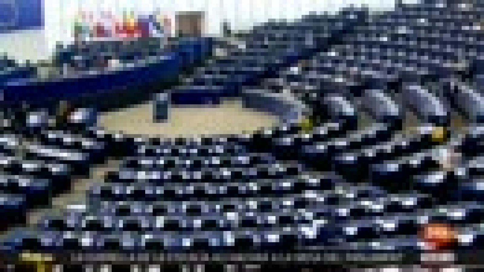 Parlamento - Otros parlamentos - Acoso sexual Europarlamento - 28/10/2017