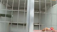 Sebastián Moreno ha decidido ampliar su negocio
