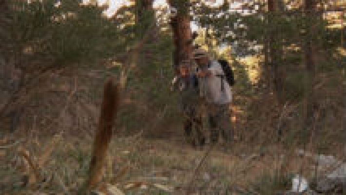 Aquí la Tierra - La raíz milagrosa