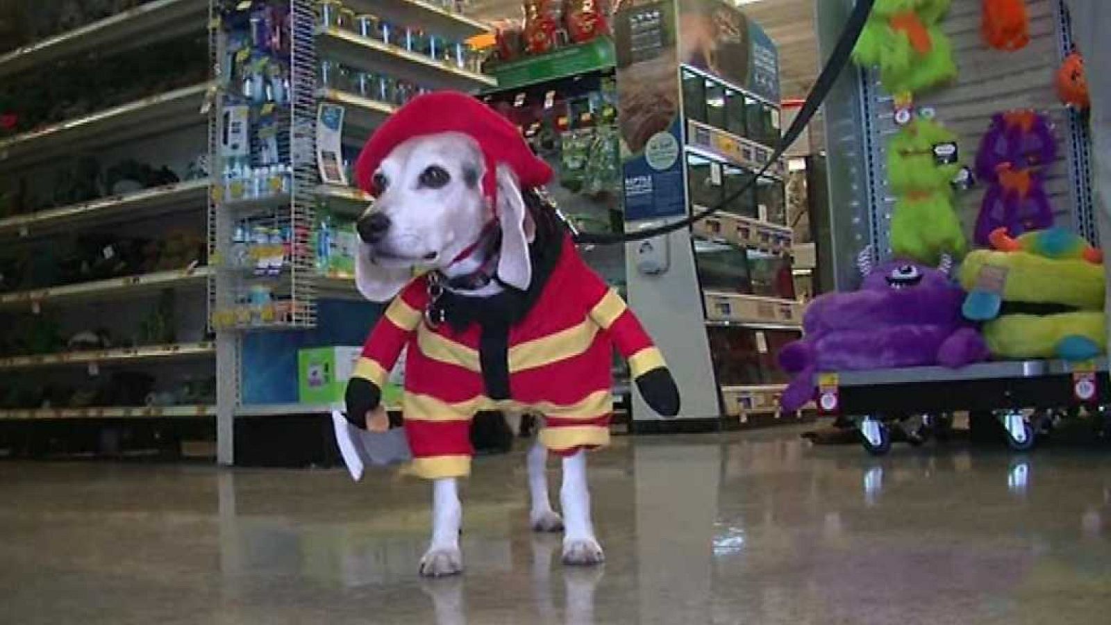 Amigas y conocidas - 31/10/17 - ver ahora