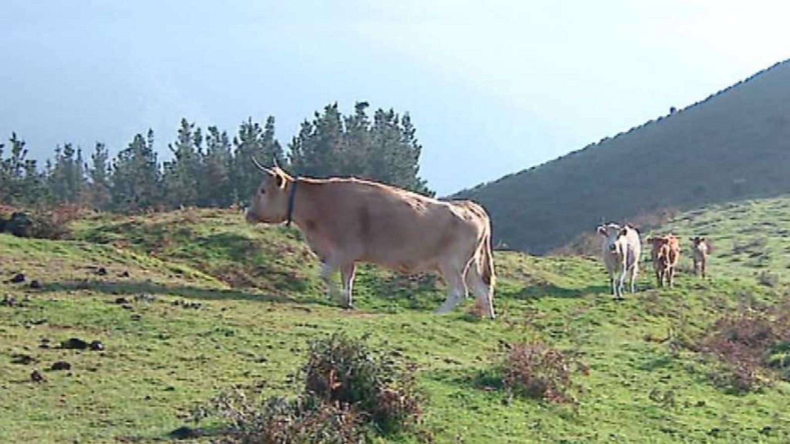 Emprende - 31/10/17 - ver ahora