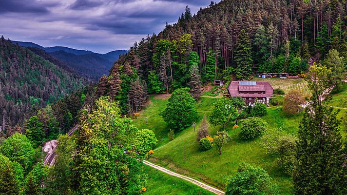 Grandes documentales - Alemania salvaje. El cinturón verde