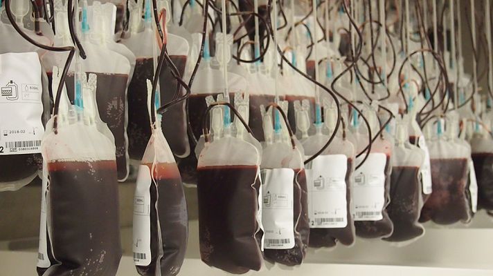 Documentos TV - La batalla por la sangre