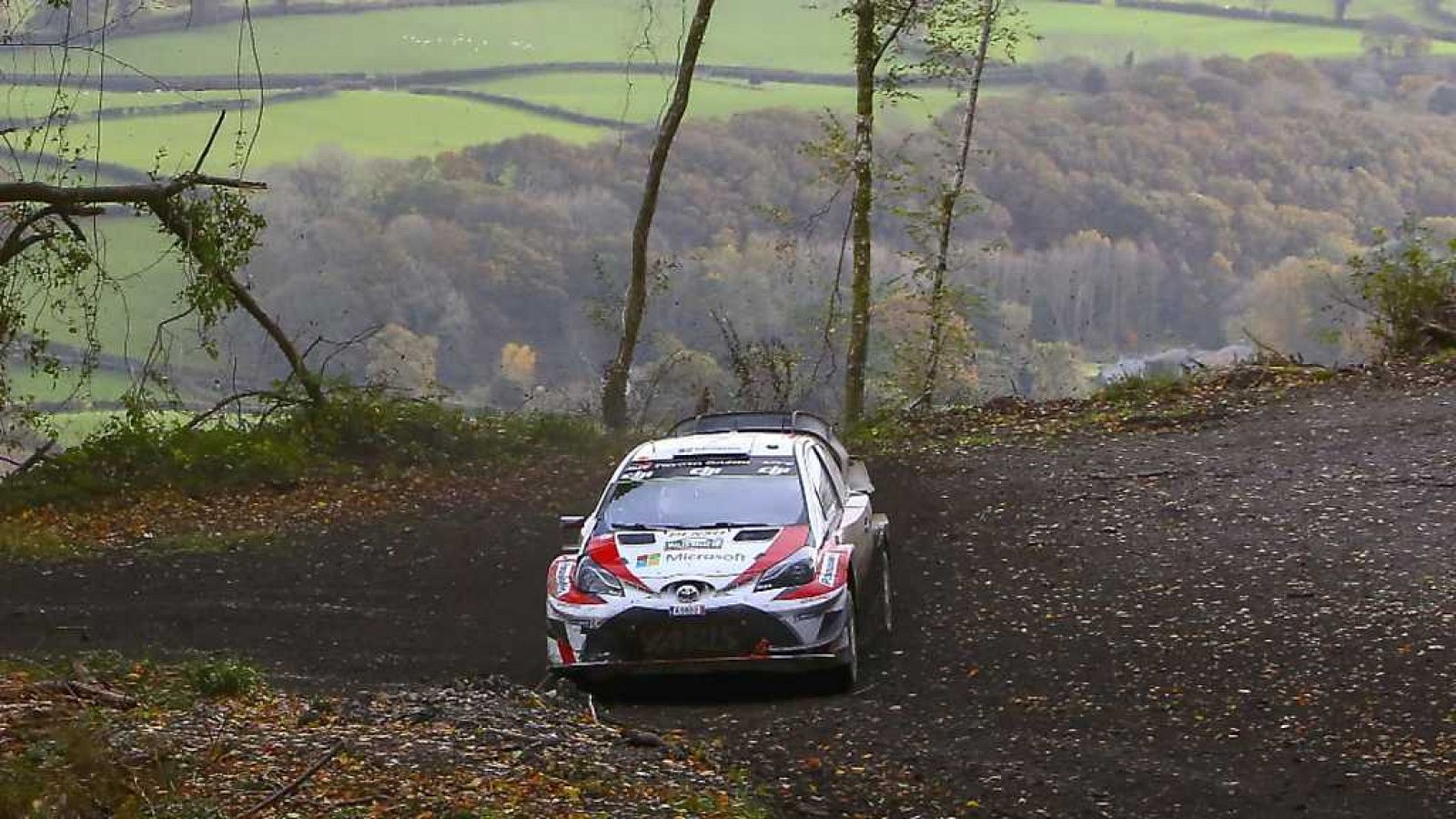 WRC - Campeonato del Mundo. Rally de Gran Bretaña. Resumen