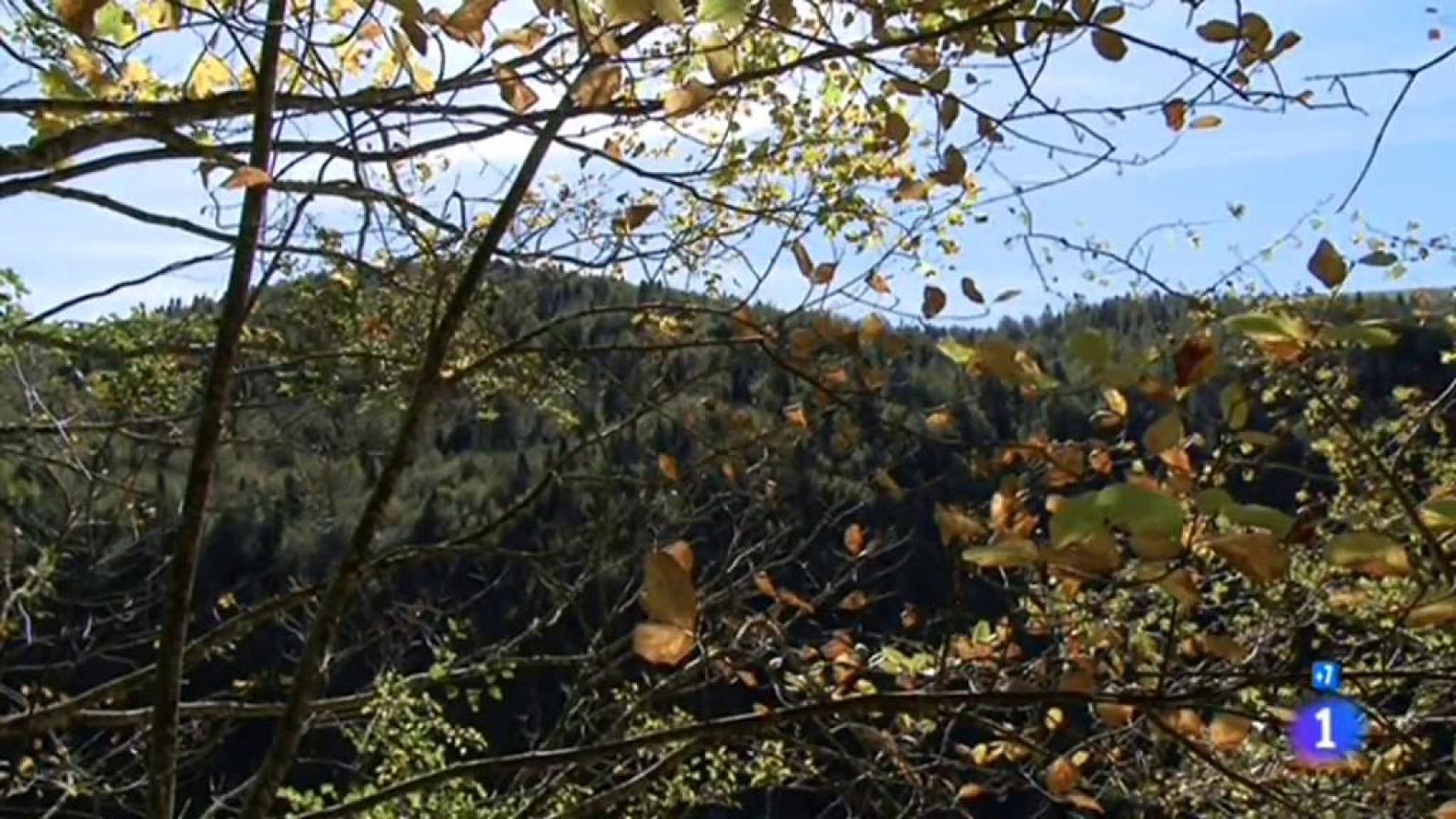 Destinos de otoño - Sierra de Irati