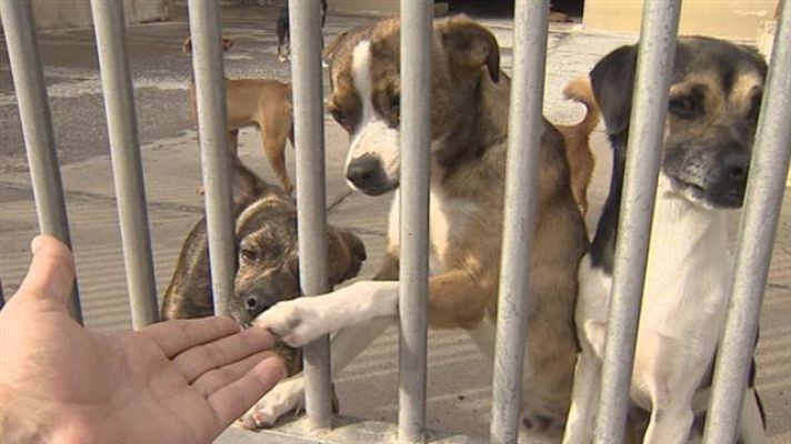 Cerca de ti - Cerca de ti - 02/11/2017