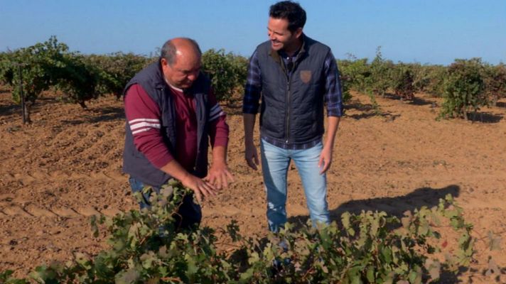 Aquí la Tierra - Uvas y cepas leonesas