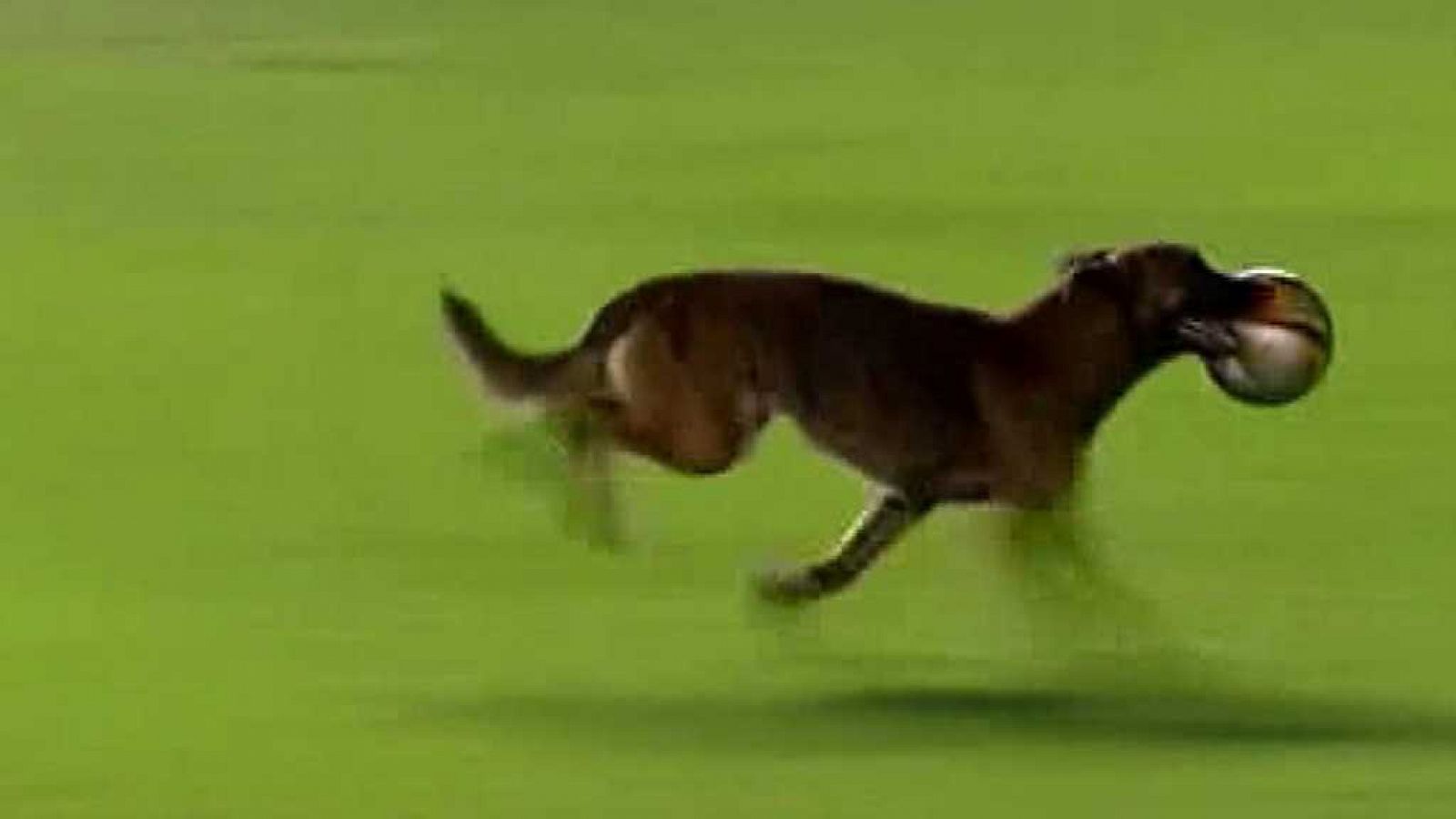 Conexión tdp - 02/11/17 - ver ahora