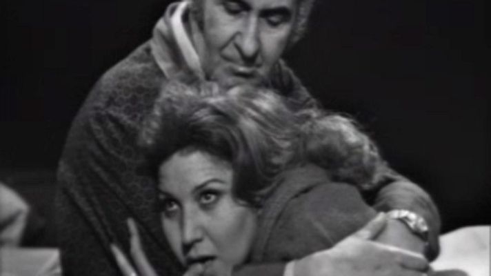 Estudio 1 - Los delfines