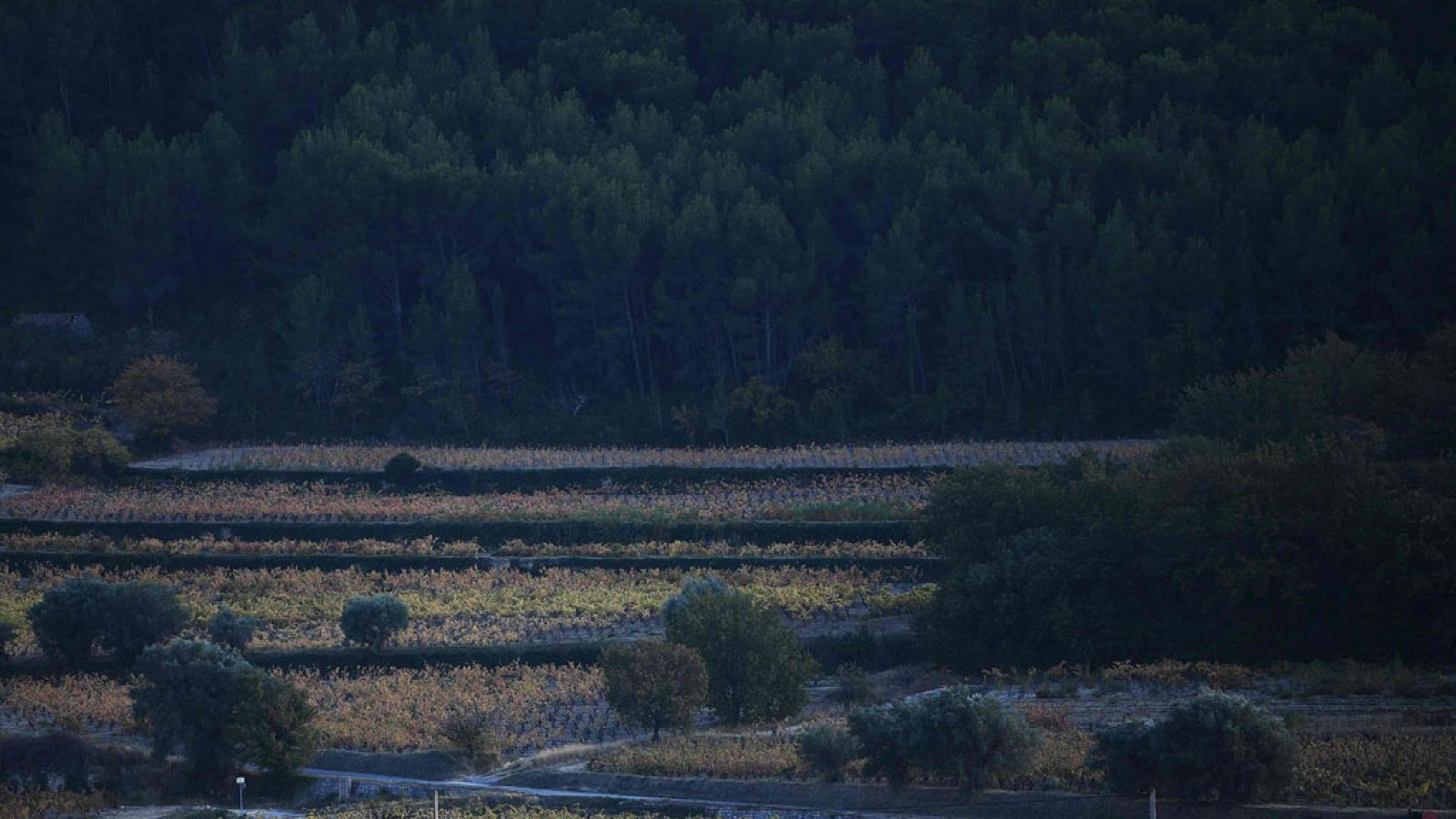 Las lluvias barrerán la Península y Baleares el fin de semana