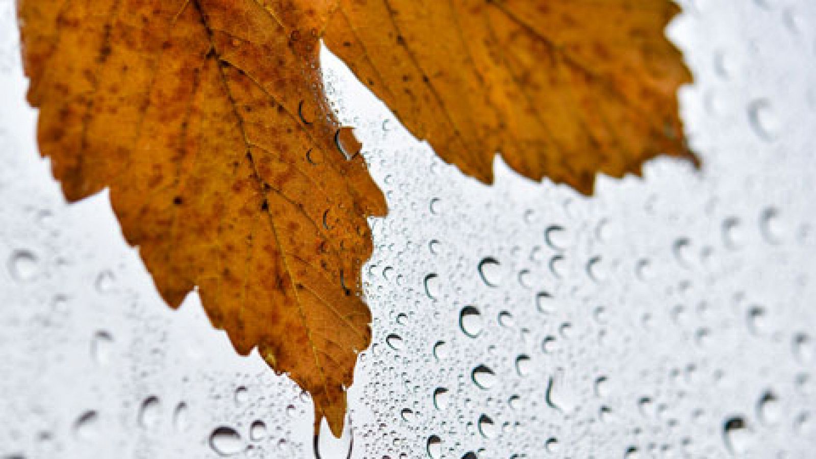 El tiempo: Lluvia, viento y algo de nieve en el tercio noreste | RTVE Play