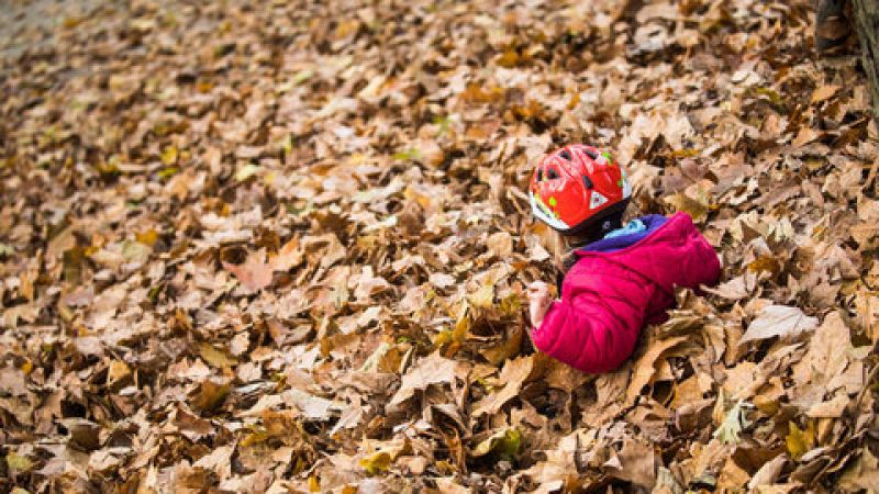 En Galicia, Cantábrico, alto Ebro y Pirineos estará nuboso o cubierto con precipitaciones