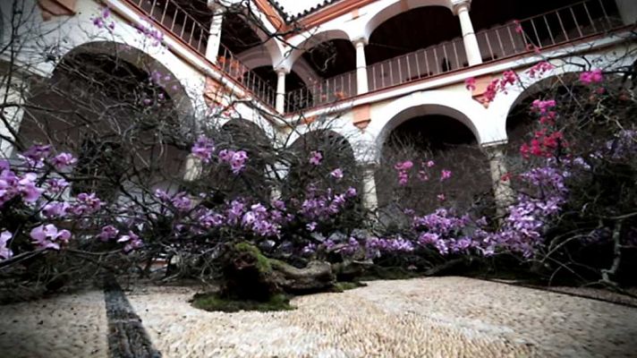 Flash moda - Flash Moda - 05/11/17