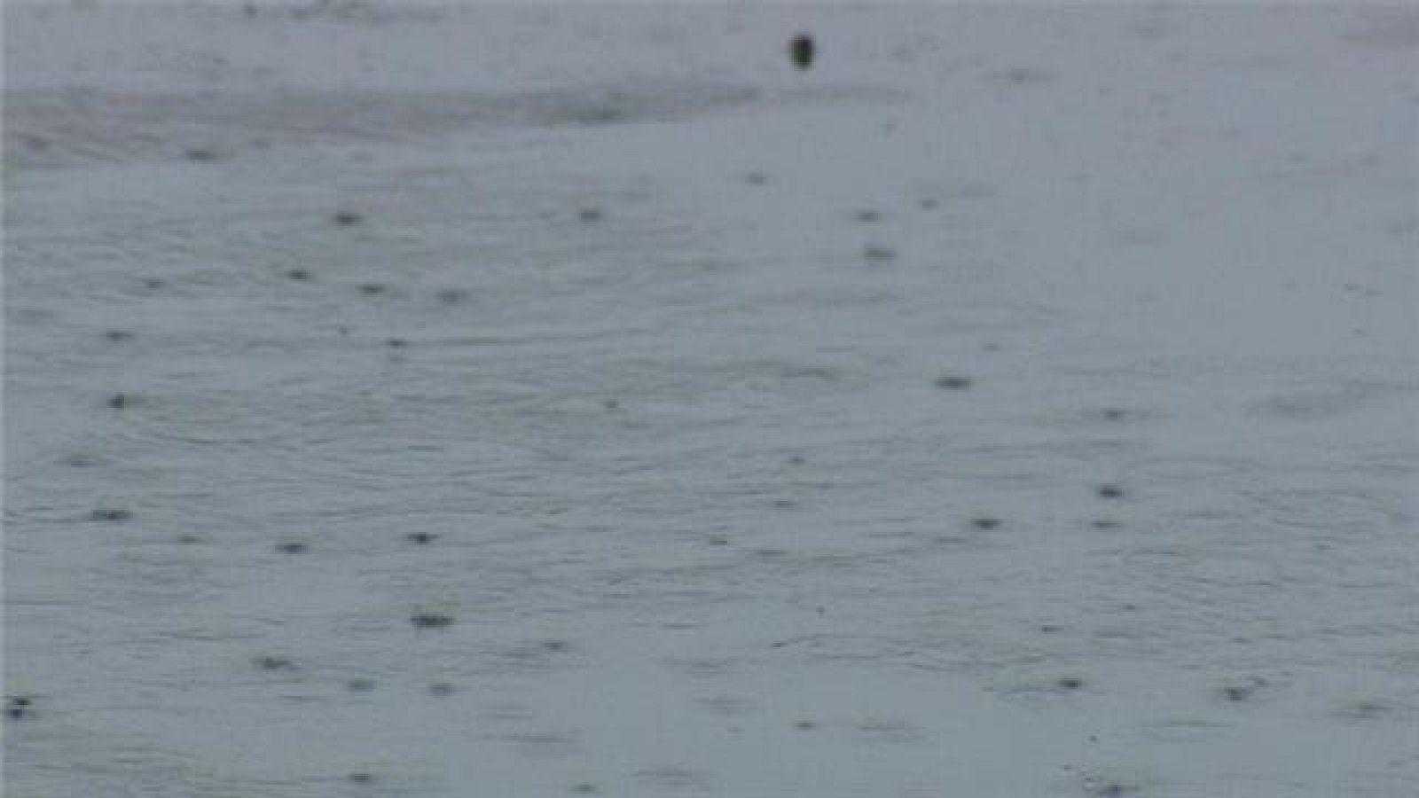 Telecanarias - 05/11/2017