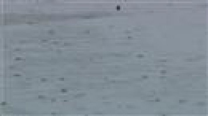 Telecanarias - Telecanarias - 05/11/2017