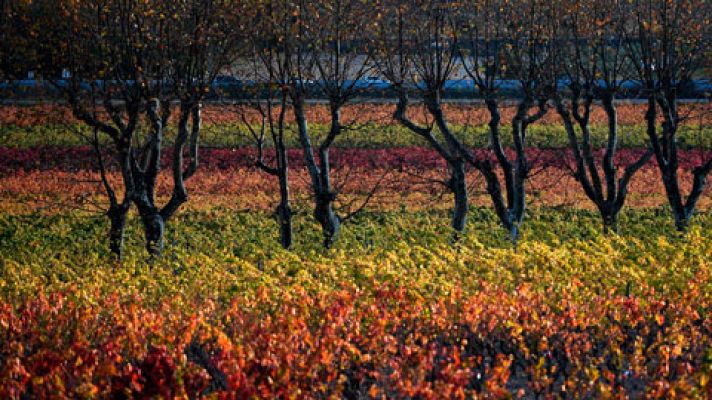 El tiempo - Intervalos de viento fuerte en el Ebro y muy fuerte en los Pirineos