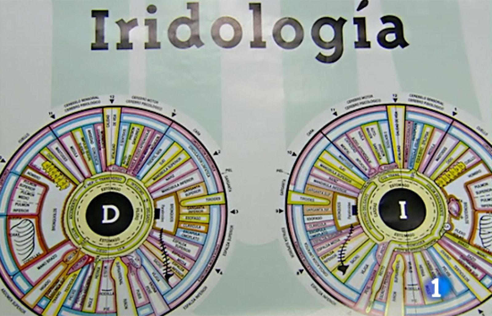 Ciencia y tecnología en Rtve.es: Enséñame tu iris y veré qué tienes | RTVE Play