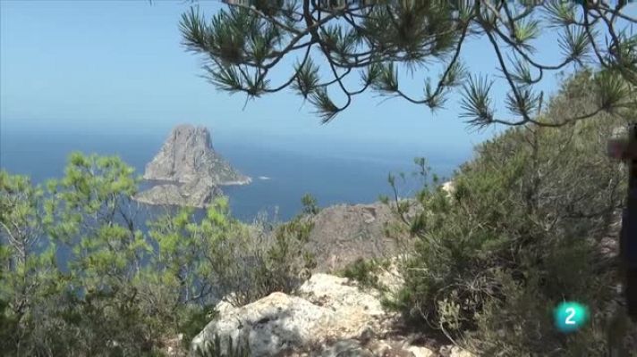  - 80 cm en Ibiza - Avance