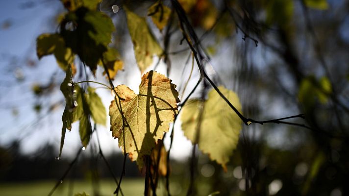 Informativo de Madrid - El Tiempo en la Comunidad de Madrid - 07/11/17