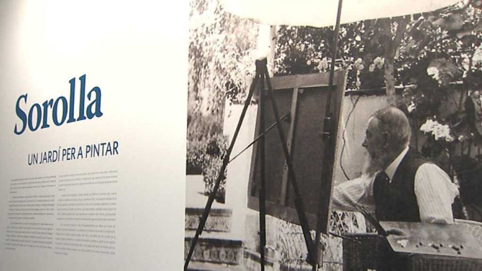 L'Informatiu - Comunitat Valenciana 2 - 07/11/17 - ver ahora