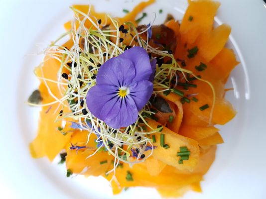 Documentos TV - Bueno, mejor, ¿vegano?