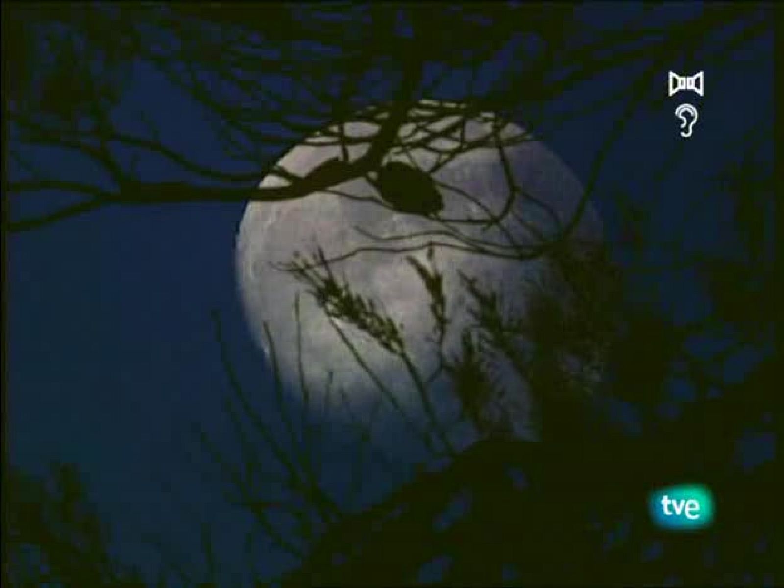 Jara y sedal - La pesca en Ampuria Brava - Jara y sedal | Ver