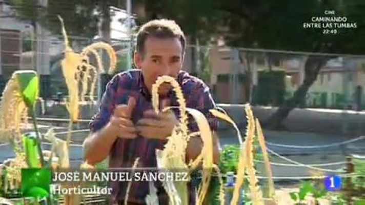 Aquí la Tierra - La fábrica de palomitas