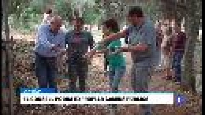 Informatiu Balear - Informatiu Balear en 2' - 09/11/17