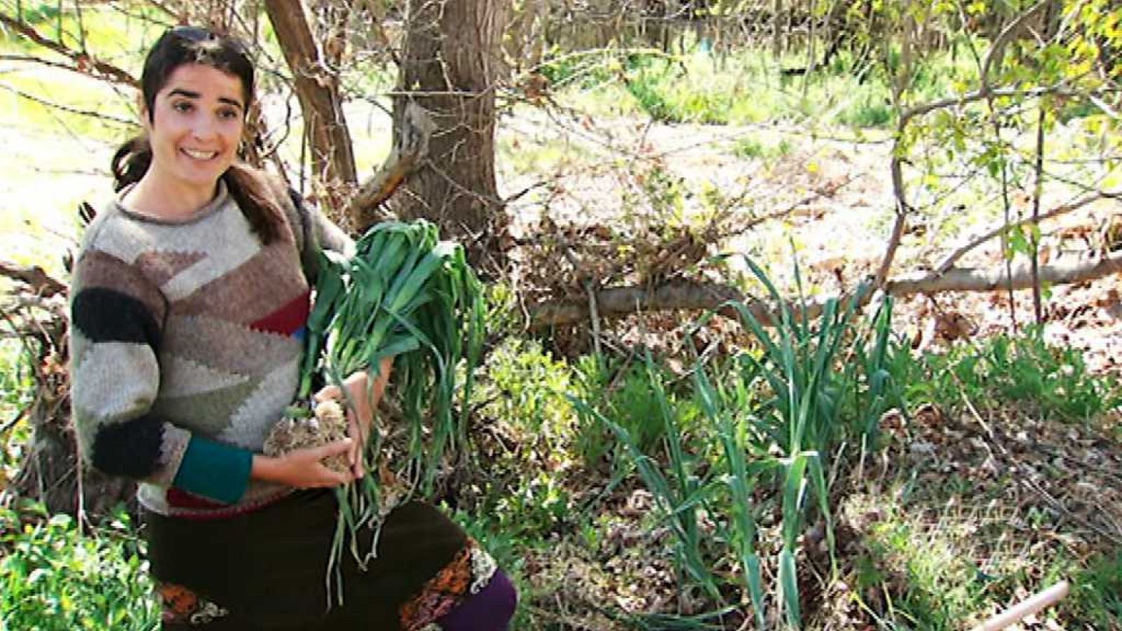 UNED - 10/11/17 - ver ahora