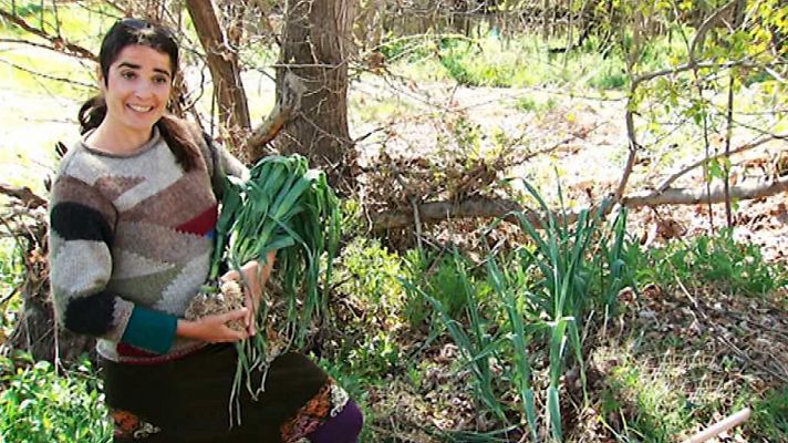 Universo UNED - UNED - 10/11/17