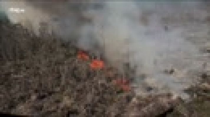 En portada - Ecocidio - Avance