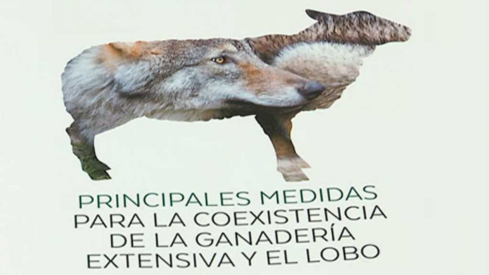 Agrosfera - 11/11/17 - ver ahora