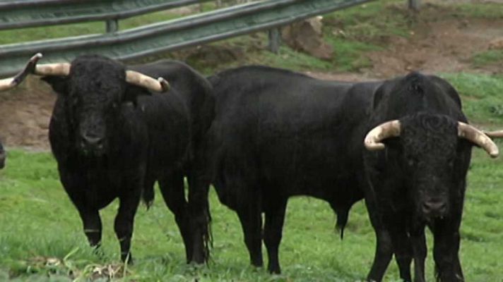 Tendido cero - Tendido Cero - 11/11/17