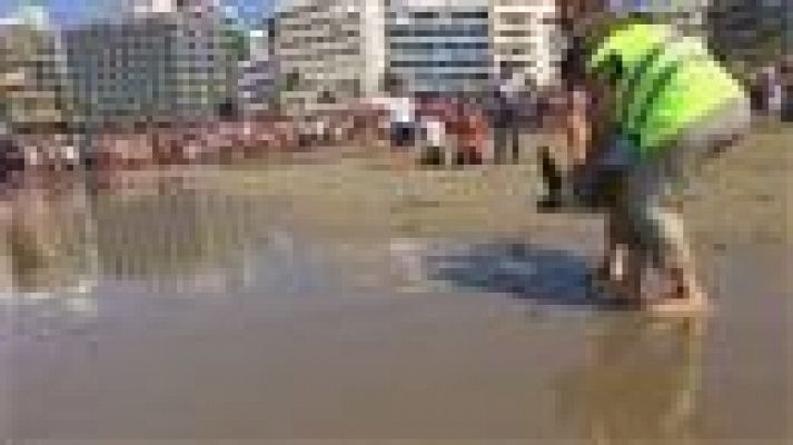 Telecanarias - Canarias en 2' - 11/11/2017