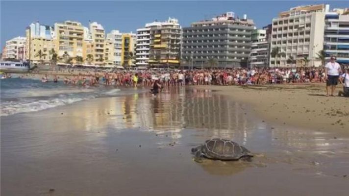 Telecanarias - Telecanarias - 11/11/2017