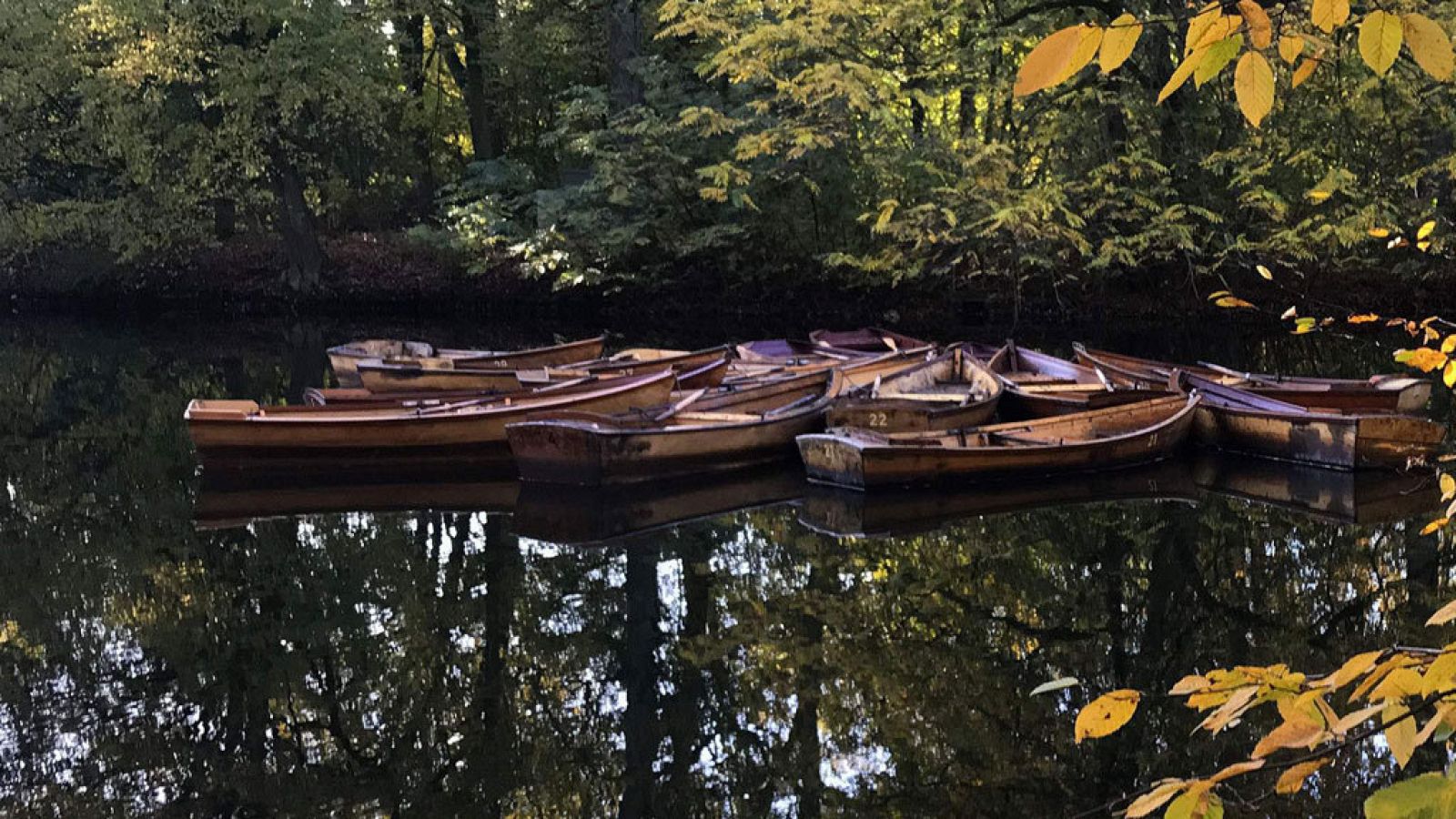 Viento de componente norte en la mayor parte de España
