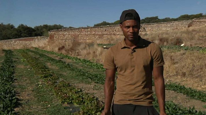 Testimonio - Huerto hermana tierra