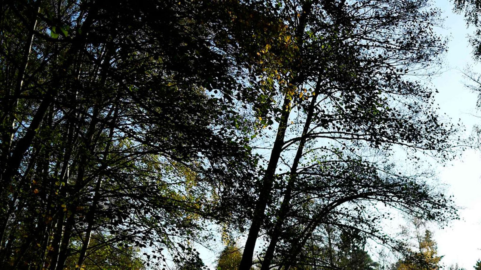 Descenso de temperaturas en todo el país