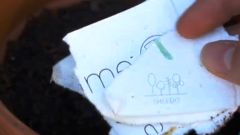 Fábrica de ideas - Inventa: Sheedo