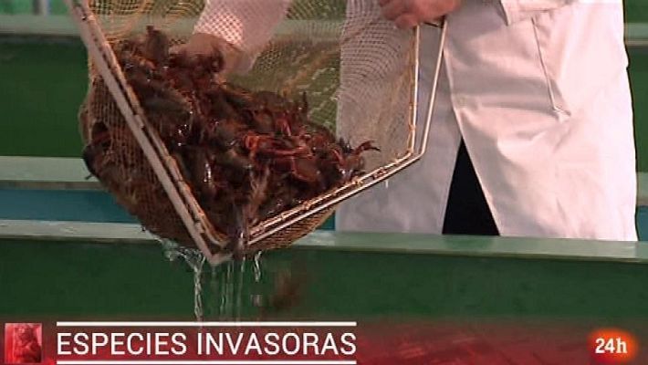 Parlamento - Resumen del 11/11/2017