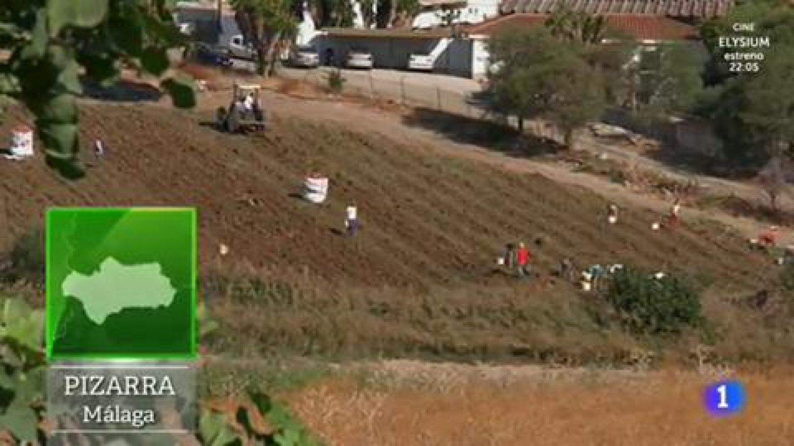 Empanada y batata, buena combinación