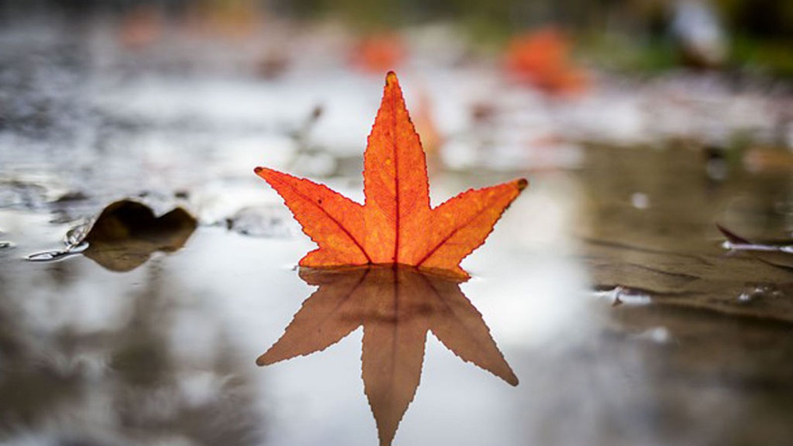 El Tiempo en la Comunidad de Madrid - 13/11/17