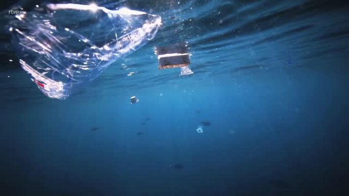 El escarabajo verde - La mar de polímeros - Avance