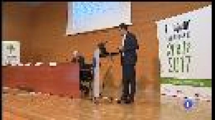 Informatiu Balear - Cerquen l'insecte que transmet la xylella