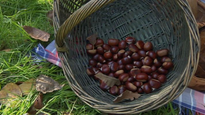 Aquí la Tierra - Los secretos del amagüestu