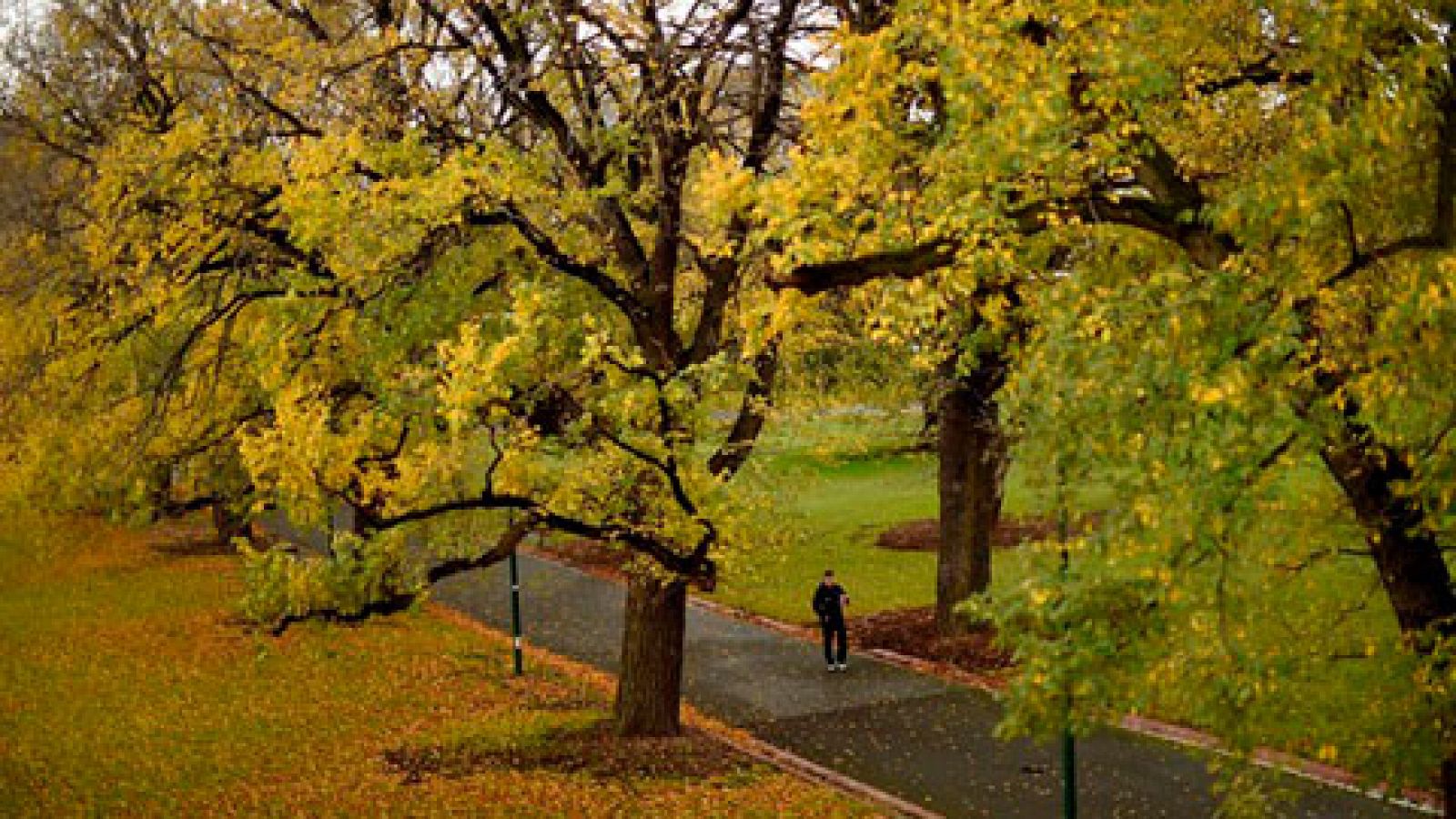 Cielos despejados y sin precipitaciones en la mayor parte del país