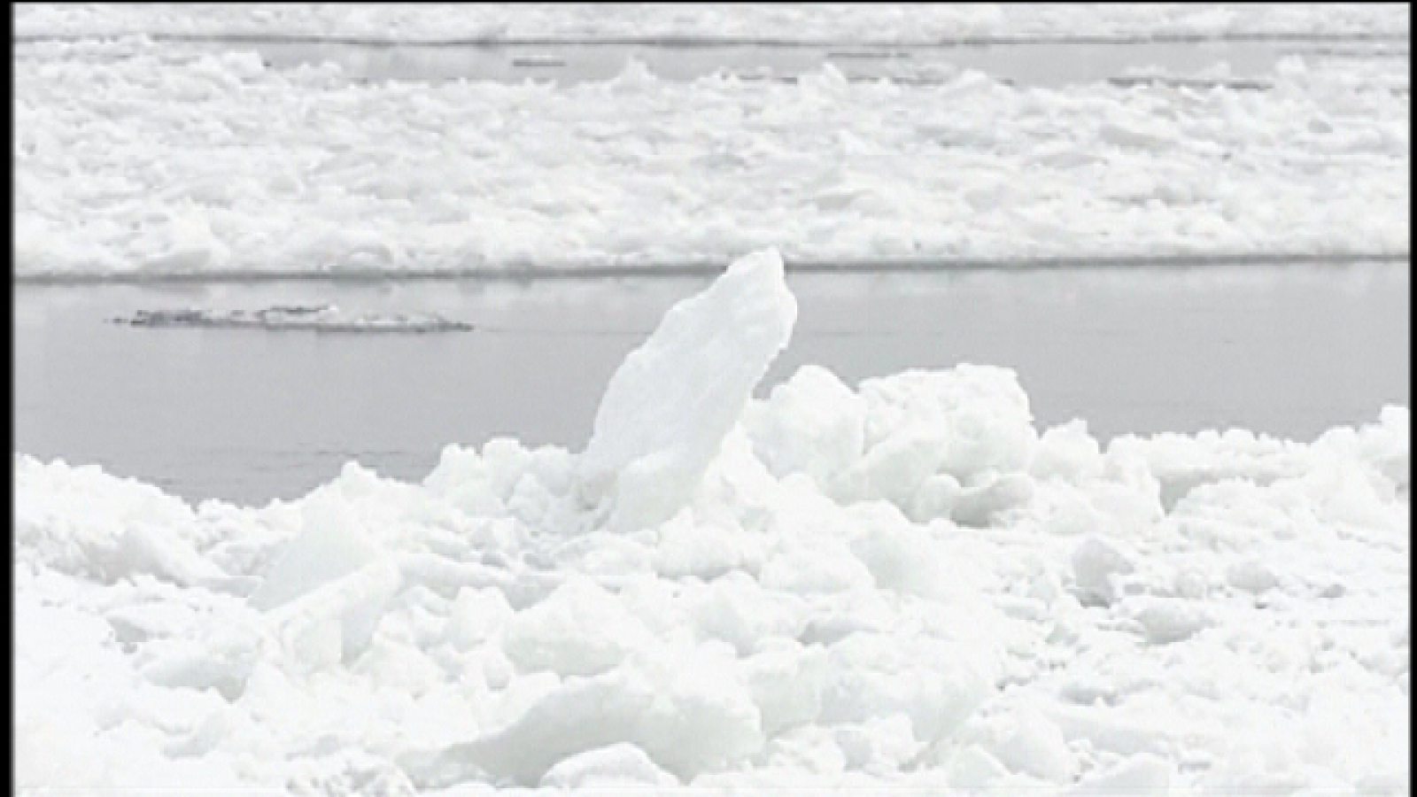 Teleplaneta - 13/11/2017